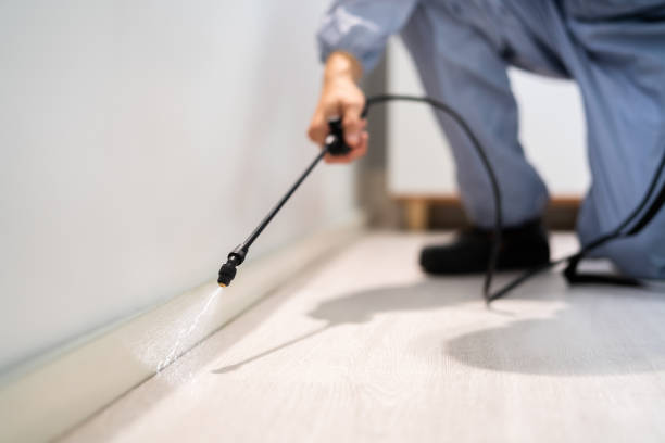 Certified termite inspector examining foundation in Gassville